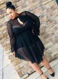 Women Long Sleeve Polka Dot Mesh Dress Two Piece (inside dress with breast pad)