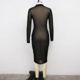 Women Sexy Long Sleeve Mesh Bodycon Dress