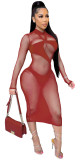 Women Sexy Long Sleeve Mesh Bodycon Dress