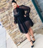Women Long Sleeve Polka Dot Mesh Dress Two Piece (inside dress with breast pad)