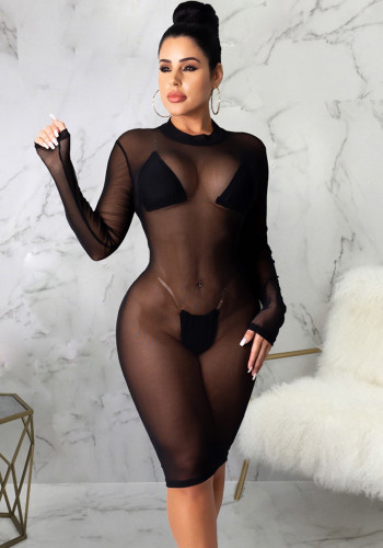 Women Sexy Long Sleeve Mesh Bodycon Dress