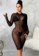 Women Sexy Long Sleeve Mesh Bodycon Dress