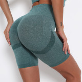 High Waist Butt Lift Sports Shorts Tight Fitting Gym Pants Quick Dry Training Running Yoga Pants