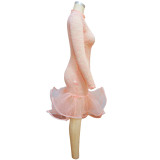 Plus Size Women Long Sleeve Cutout Lace Dress