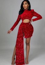 Fleece Sequin Sexy Women's Dress