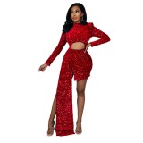 Fleece Sequin Sexy Women's Dress