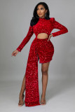 Fleece Sequin Sexy Women's Dress