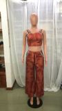 Women Botanical Print Sleeveless Top And Pants Two Piece