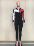 Women Sports Colorblock Long Sleeve Hood Zip Top And Pant Two Piece