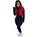Women Solid Turn Down Collar Padded Vest