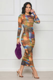 Autumn Fashion Print Women Long Sleeve Casual Dress