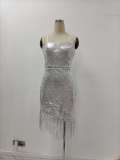 Women's Silver Sling Fringe Sexy Party Long Dress