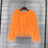 Fur Coat Solid Color Ladies Cropped Coat