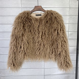 Fur Coat Solid Color Ladies Cropped Coat