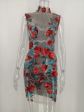 Sexy Floral Sequins See Through Club Dress