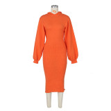 Women Slit Balloon Sleeve Hooded Midi Dress
