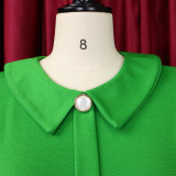 Women'S Fall/Winter Mesh And Pleated Plus Size Ol Chic Career Dress