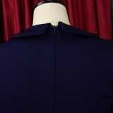 Women'S Fall/Winter Mesh And Pleated Plus Size Ol Chic Career Dress