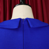 Women'S Fall/Winter Mesh And Pleated Plus Size Ol Chic Career Dress