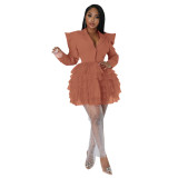 Women Mesh V Neck Straight Shoulder Dress