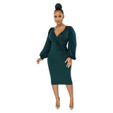 Women Solid Puff Sleeve Dress