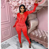 Fashion Women's Mesh Beaded V-Neck Long Sleeve Feather Long Library Jumpsuit