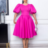 Retro Round Neck Chic Puff Sleeve Slim Waist A-Line Swing Party Dress