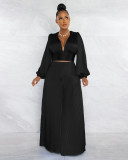 Women sexy pleated v-neck top and wide-leg pants two-piece set