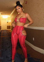 Women Print Cutout Lace-Up Sleeveless Crop Top and Pant Two-Piece Set Women Print Cutout Lace-Up Sleeveless Crop Top and Pant Two-Piece Set