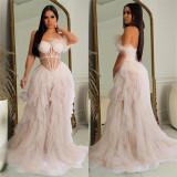 Women'S Fashion Solid Color Sleeveless Wrapped Chest Mesh Maxi Dress