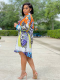 Casual Fashion Print Multicolor Women'S Shirt Dress