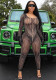 Women Square Neck Print See-Through Mesh Jumpsuit