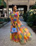 Women's Mesh Print Dress