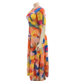Women's Mesh Print Dress