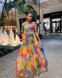 Women's Mesh Print Dress