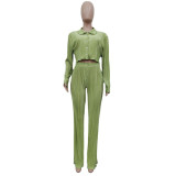 Sexy women's shiny shrunken solid color shirt suit
