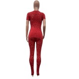 Women Stretch Ripped Round Neck Solid Top and Pant Two-Piece Set