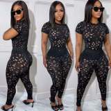 Women Stretch Ripped Round Neck Solid Top and Pant Two-Piece Set