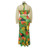 Spring Print Halter Neck Tie Dress Set