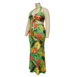Spring Print Halter Neck Tie Dress Set