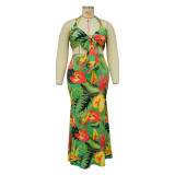 Spring Print Halter Neck Tie Dress Set