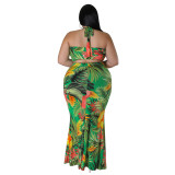 Spring Print Halter Neck Tie Dress Set