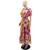 Women Chic Printed Turndown Collar Lantern Sleeve A-Line Dress