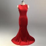 Bridal Wedding Long Formal Party Elegant Fishtail Engagement Evening Dress