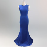 Bridal Wedding Long Formal Party Elegant Fishtail Engagement Evening Dress