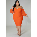 Plus Size Women Mesh Pleated Long Sleeve Dress