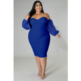 Plus Size Women Mesh Pleated Long Sleeve Dress