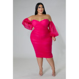 Plus Size Women Mesh Pleated Long Sleeve Dress