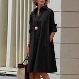 Women Turndwon collar print dress
