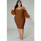 Plus Size Women Mesh Pleated Long Sleeve Dress
